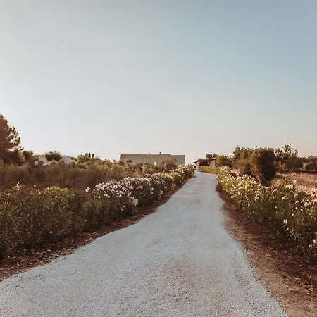 Il Giglio *